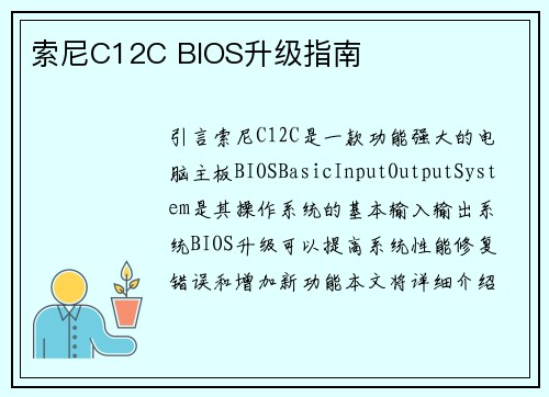 索尼C12C BIOS升级指南